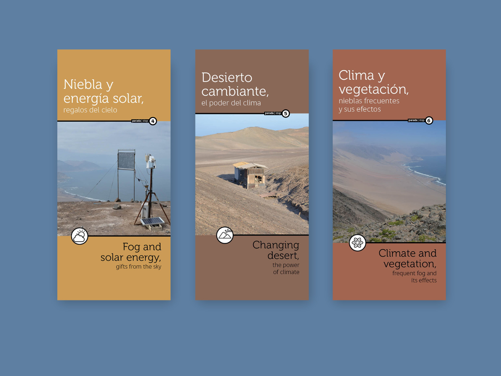 altopatache_04_1600x1200px diagramación de topoguía bilingüe y mapa de recorrido para el desierto de niebla alto patache. diseño de sistema de íconos y paleta de color acorde al paisaje