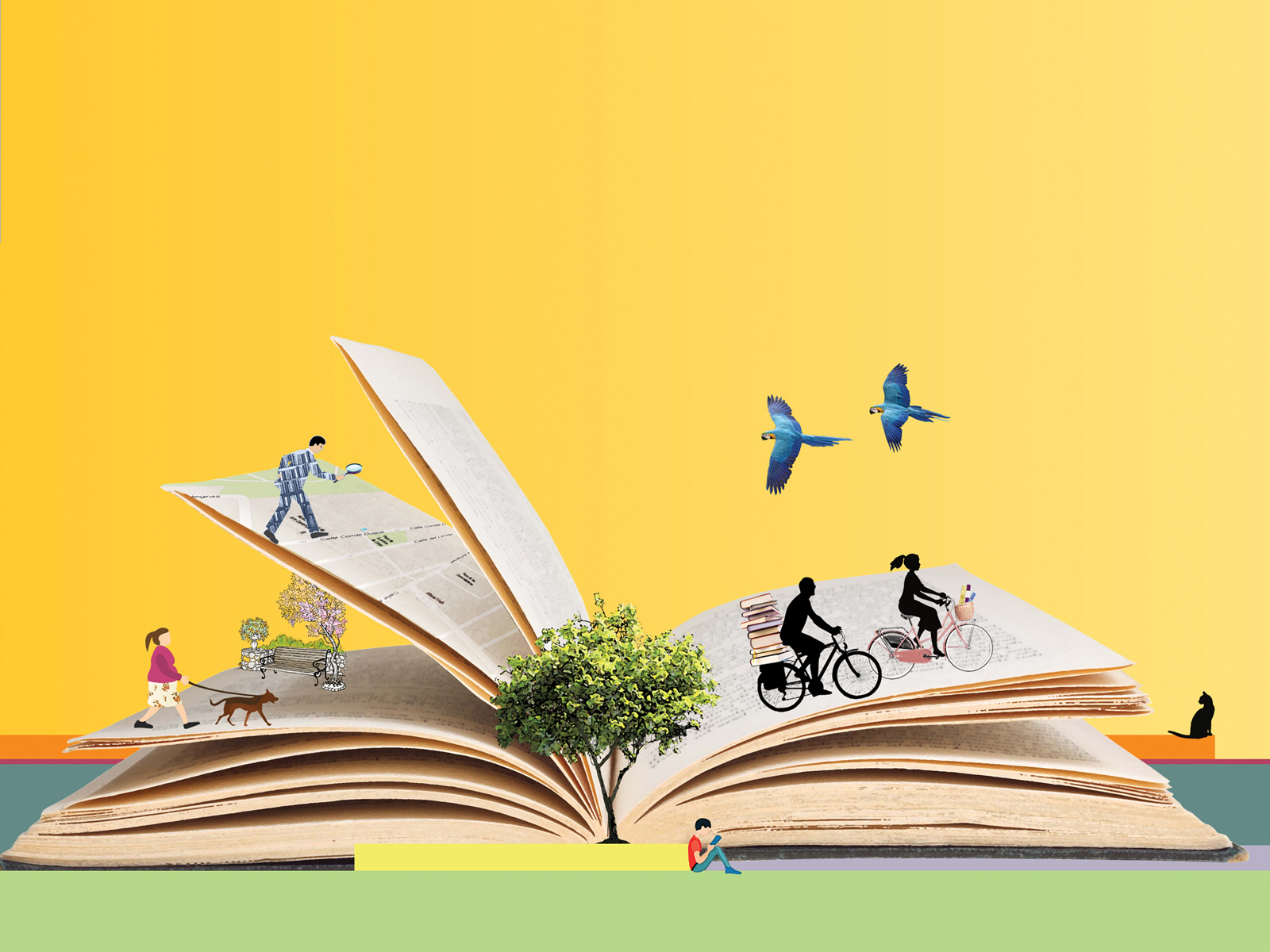 «Donde esperan los libros» . libro álbum