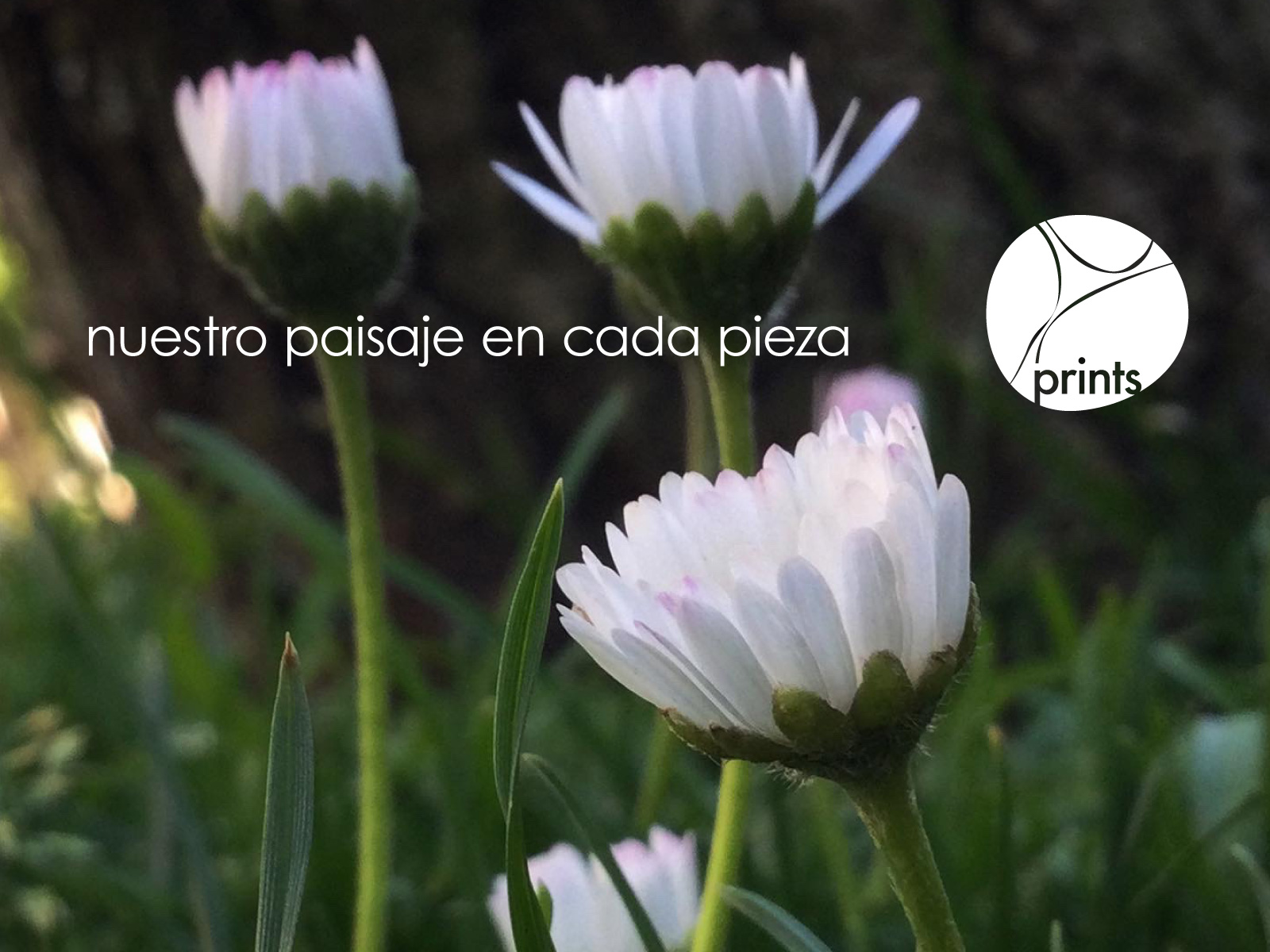 prints papelería . branding