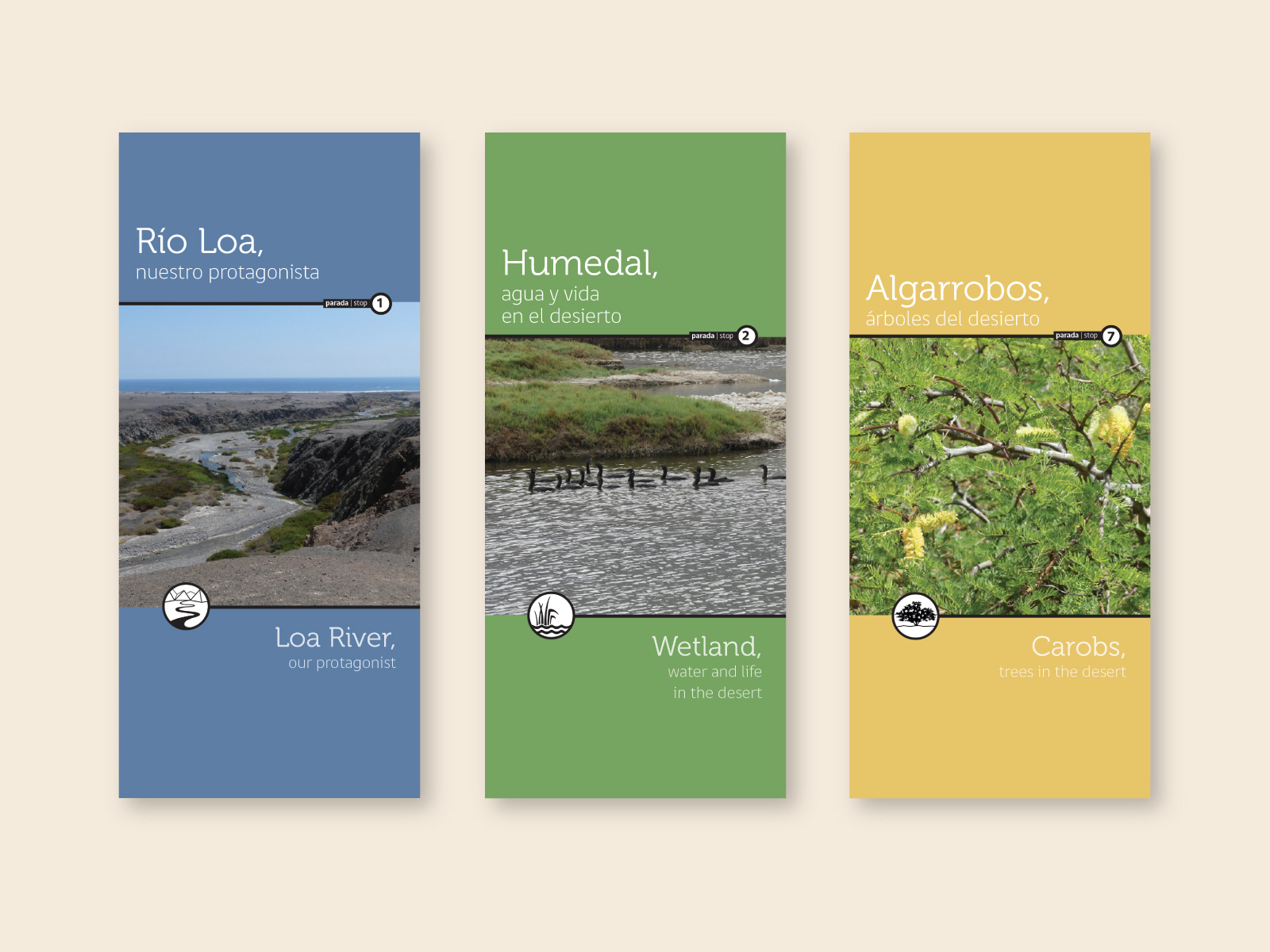 rioloa_01_1600x1200px diagramación de topoguía bilingüe y mapa de recorrido para la desembocadura del río loa. diseño de sistema de íconos, infografías y paleta de color acorde al paisaje