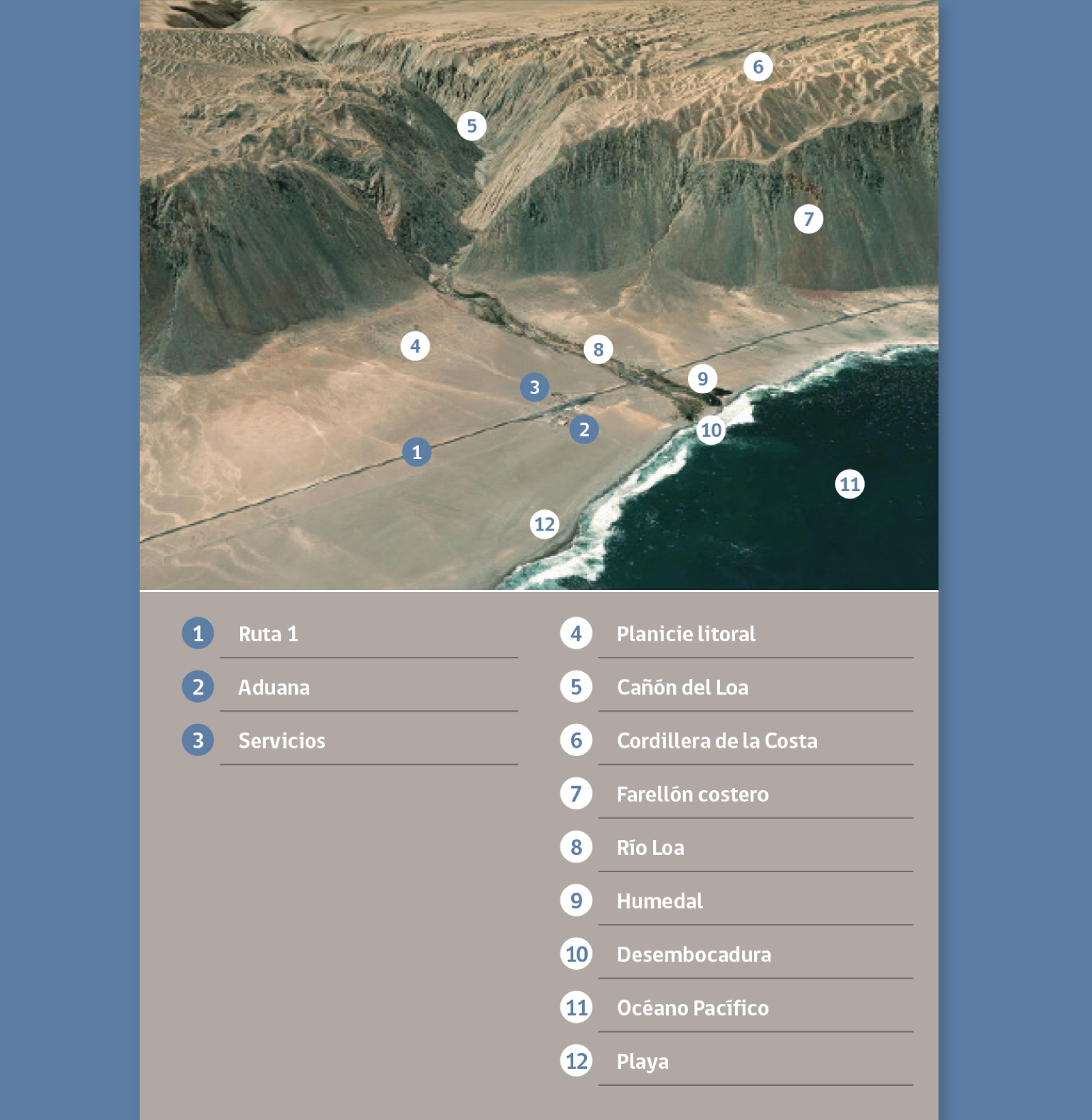 rioloa_03_1600x1640px diagramación de topoguía bilingüe y mapa de recorrido para la desembocadura del río loa. diseño de sistema de íconos, infografías y paleta de color acorde al paisaje