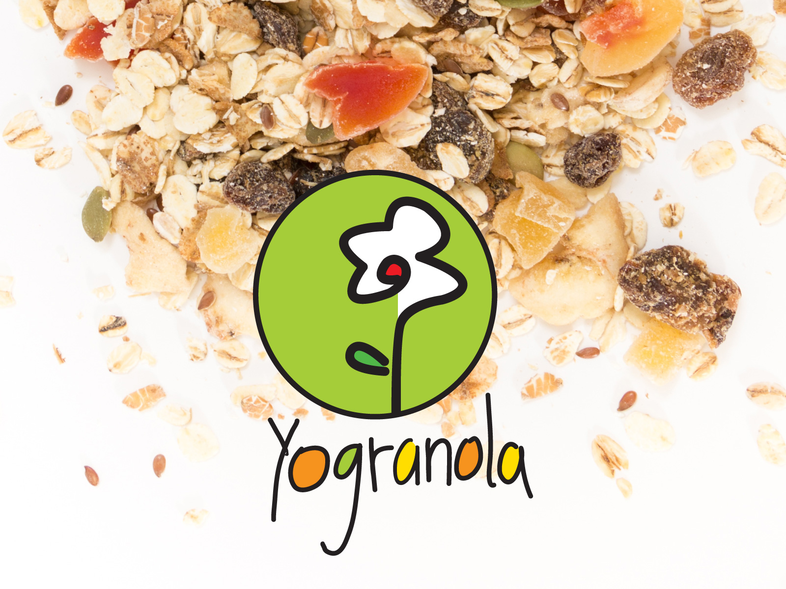 Yogranola . sistema de identidad visual