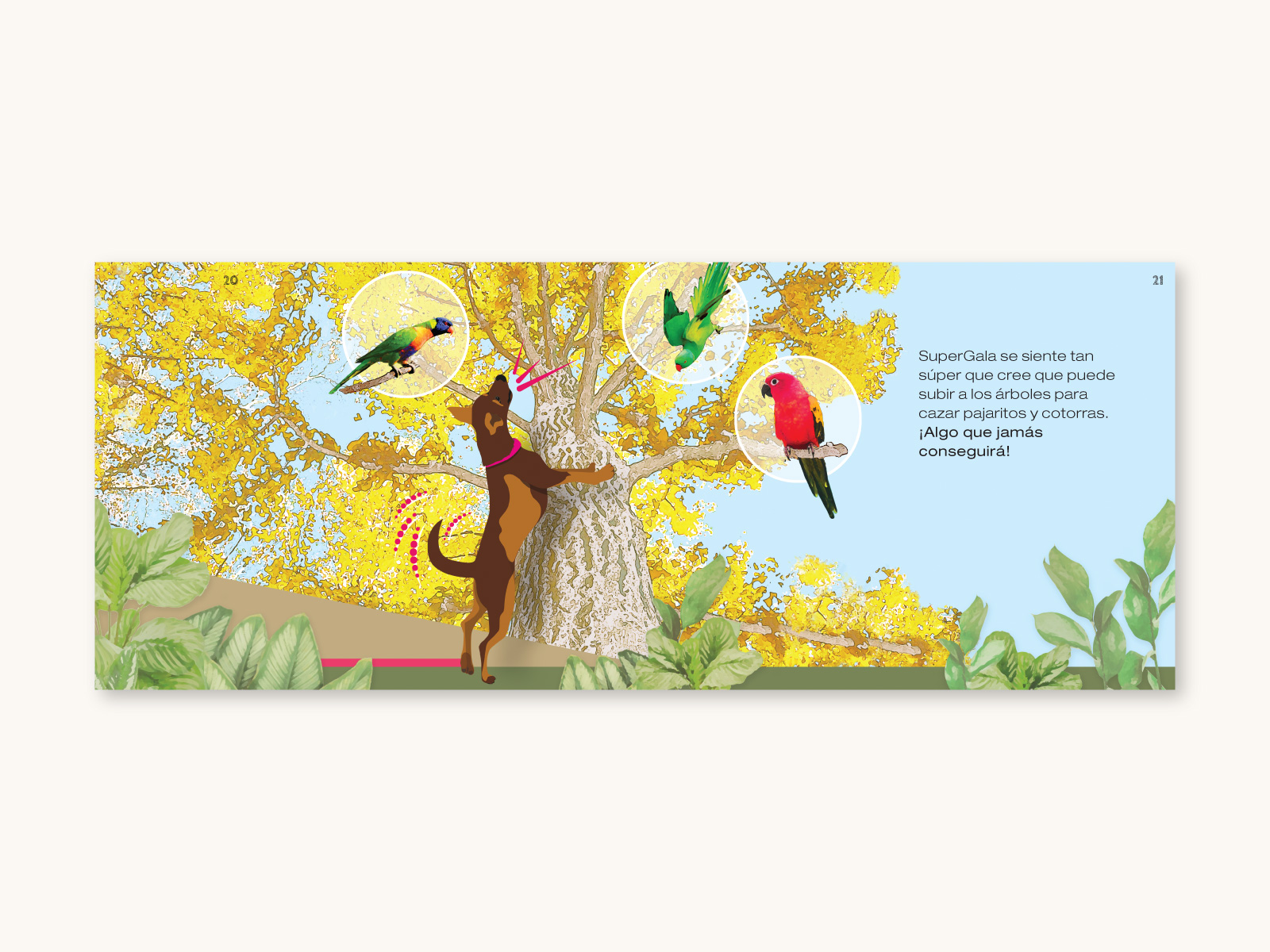 superGala_05_1600x1200px